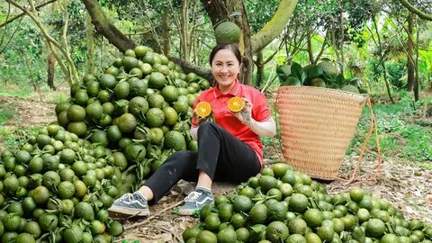 Thống kê giúp CLB Công an Hà Nội tự tin trước trận tái đấu đội Thái Lan