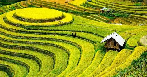 Ngọc Minh Chuyên ghi bàn, tuyển nữ Việt Nam thua đội bóng Đức